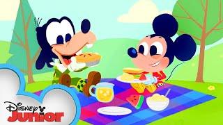 Mickey Mouse Nursery Rhymes Part 2   Disney Junior Music Nursery Rhymes  @disneyjunior