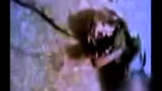 Mystery animal ru Russia animal girl  Demon REAL