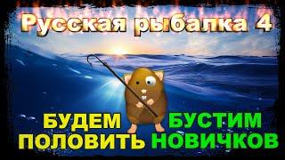 Русская Рыбалка 4 *Значит будем ПОЛОВИТЬ + БУСТ НОВИЧКОВ*