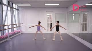 R.A.D Ballet Grade 3 syllabus part 1
