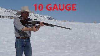 10 Gauge