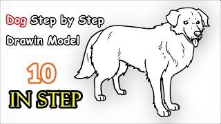 Step by Step Instructions for Drawing a Realistic Dog Dog Drawing Model