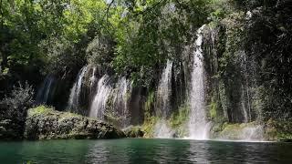 Wasserfallgeräusche mit Vogelgezwitscher im Wald Naturgeräusche zum Einschlafen & Entspannen