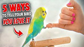 5 Ways to Tell Your Bird You Love It