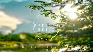 Megiddo Music - Murky Reality  Chill  New Age Chill Music 2024 Global #newagechillmusic2024