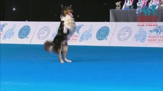 FCI Dog dance World Championship 2016 – Freestyle final  - Lisette Olausson and Gaston Sweden