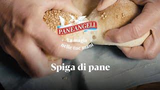 Spiga di pane