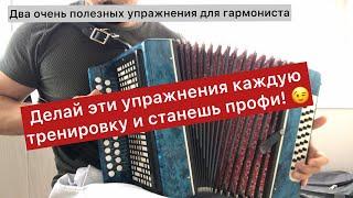 Два отличных упражнения на гармони. Уроки игры на гармони простым языком -