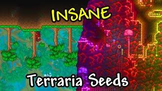 I Tried These INSANE Terraria Seeds Secret Seeds