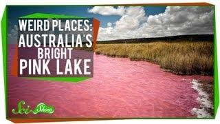 Weird Places Australias Bright Pink Lake