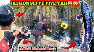 EDYAN‼️SAMBARAN TOMAN MONSTER PENGHUNI AIR HITAM BIKIN JANTUNG BERGETAR  CASTING GIANT SNAKEHEAD