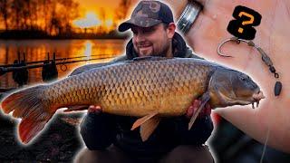 He COULDNT STOP Catching   Better Hookbait than Worms ?  Winter Carp Fishing