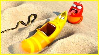 LARVA TUBA 2023 - LARVA NEW SEASON - BEST EPISODE - NEW VERSION LARVA - FUNNIEST CARTOONS