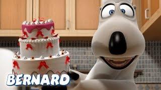 Bernard Bear  The Cook AND MORE  30 min Compilation  Cartoons for Children