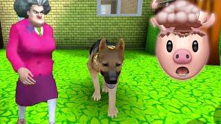 MISS T GOT A DOG??  Scary Teacher 3D Gameplay Walkthrough