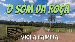 SÓ MODÃO RAIZ  DE VERDADE  - Viola CaipiraSertanejo Raiz