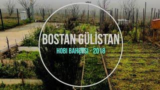 Bostan Gülistan - Hobby Garden 2018 Album