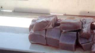Shark Meat Twitching - OC Maryland