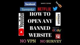 How to download anything from any website  No VPN  No cost