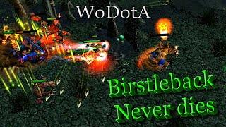 BirstleBack never dies - DotA - WoDotA Top 10 2020