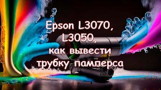 Epson L3070 L3050 как вывести трубку памперса