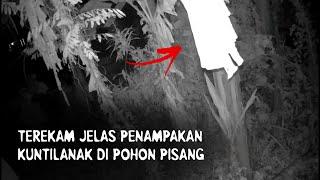 PENAMPAKAN HANTU TERJELAS DAN SERAM BANGET MIRIP KUNTILANAK  CCTV HOROR 1