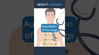 Lung Auscultation Essentials for Nurses ‍️ #NursingTechniques #PatientAssessment #nclex