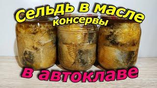 Сельдь в масле