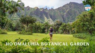 Hoomaluhia the Most Beautiful Botanical Garden in Oahu HI