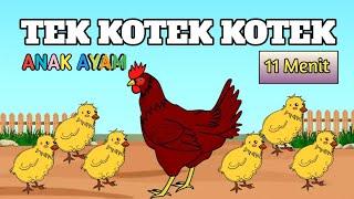 TEK KOTEK KOTEK Anak ayam  Lagu anak-anak  Lagu anak indonesia balita