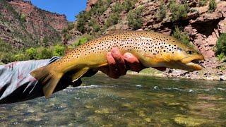 Green River Adventure