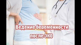 Ведение беременности после ЭКО