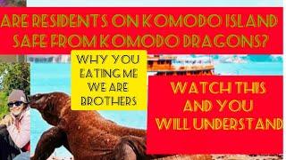 KOMODO DRAGON ATTACK#labuanbajontt #komodo#ntt #animals #wildlife #monitorlizard