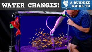 Why How Much and How Often Should You Do Water Changes In An Aquarium?
