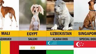Dog Breeds From Different Countries