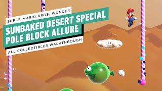 Super Mario Bros. Wonder - Sunbaked Desert Special Pole Block Allure All Seeds and Big Coins