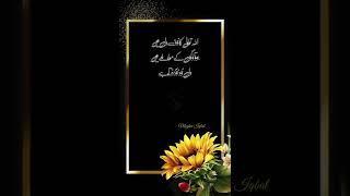 #subha #quotes #subahbkhair #urdu #family #status #whatsapp #goodmorning #like #tiktok #shortvideo