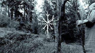 Hladomrak - Spirit of the Forest