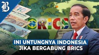 Indonesia Bakal Gabung BRICS Apa Kata Jokowi?