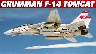 Grumman F-14 Tomcat   A Brief History Of The Iconic Aircraft  Upscaled