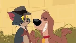 The Tom and Jerry Show - Cat Napped - Funny animals cartoons for kids