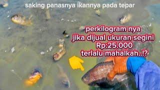 kalo sudah REZEKI gak perlu repot gak pake lama mencari ikan hasil yang memuaskan Alhamdulillah 