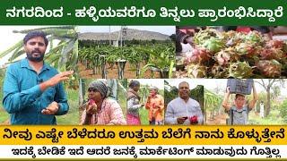 Dragon fruit farming in Karnataka  Dragon fruit farming in Banglore Dragon fruit  Venugopal 