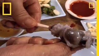 Would You Eat Live Octopus?  National Geographic