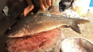 Amazing Live Rohui Fish Cutting Skills in The Fish Market  Fastest Rohui Fish Cutting