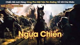 Review Phim Chiến Mã Anh Hùng Xông Pha Mặt Trận Tìm Đường Về Với Chủ Nhân