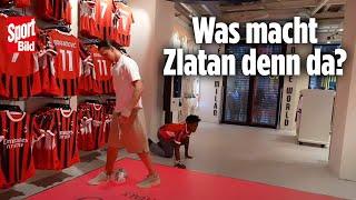 Einfach göttlich Zlatan demütigt Mega-Streamer  EM-News