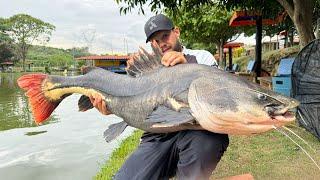 QUARTA VEZ QUE ESSE PEIXE SAI EM NOSSO CANAL