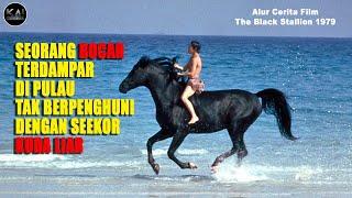 KISAH PERSAHABATAN BOCAH DENGAN KUDA LIAR - Alur Cerita Film Petualangan The Black Stallion