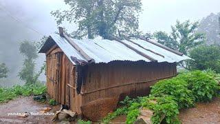 Most Peaceful & Very Relaxing Nepali Mountain Village Life into The Rain  Real Nepali Life 